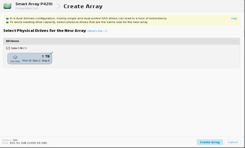 P420i Disk Group Setup 2